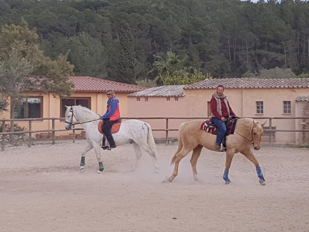 Finca Caballo Blanco Pensionat *